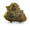 Moby Dick cannabis strain